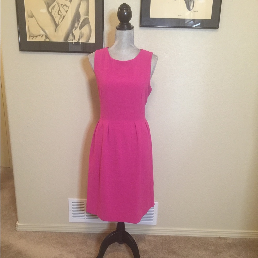 H&M Fuchsia Fit n Flare Sleeveless Dress